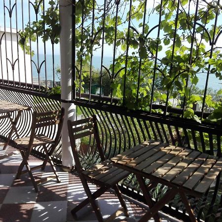 Villa Maria Guest House New Athos Ngoại thất bức ảnh